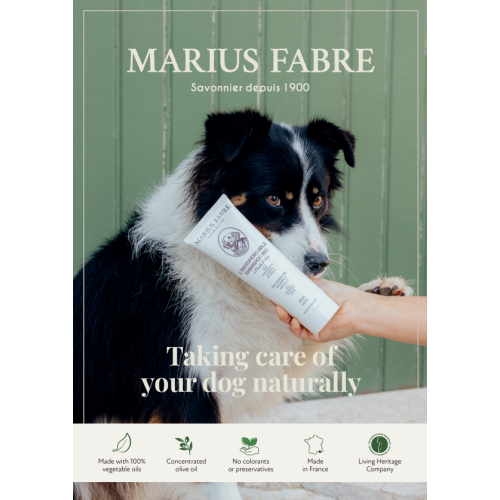 Marius Fabre A6 Flyer - Dog Range (Pack of 10)