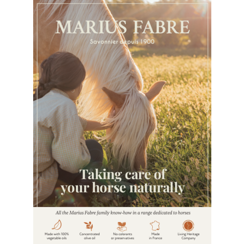 Marius Fabre A6 Flyer - Horse Range (Pack of 10)